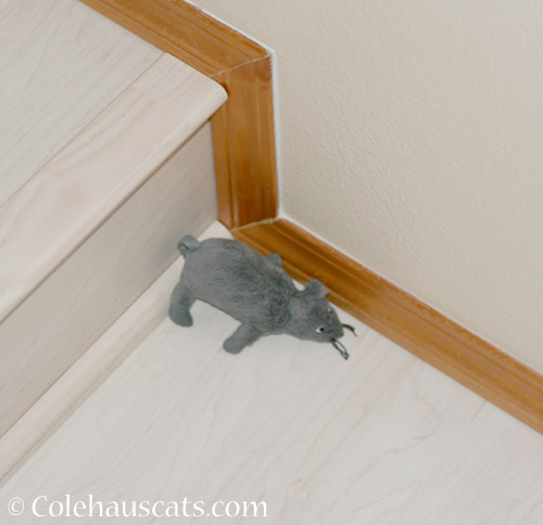 Miss Newton's favorite IKEA mousie - © Colehauscats.com