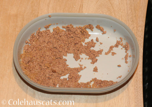 Kitty food - © Colehauscats.com