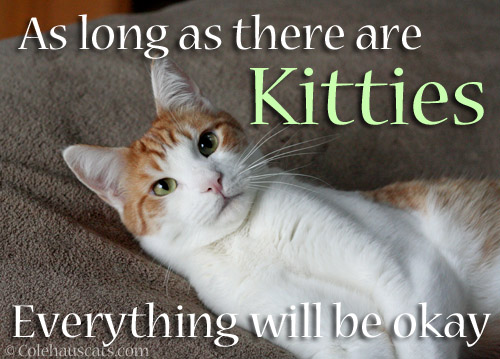 As long as there are Kitties, everything will be okay © Colehauscats.com