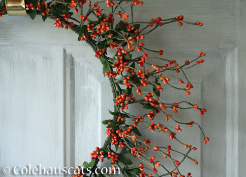 Autumn door wreath © Colehauscats.com