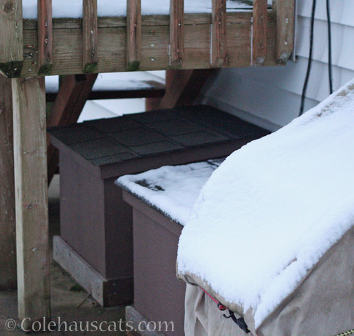 e Feral Shelters are protected and toasty warm inside © Colehauscats.com