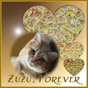 Zuzu, 2009-2017. Never forgotten. Thank you, Ann.