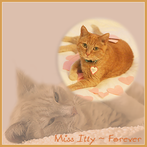 Sunny, formerly known as Miss Itty, 2004-2018. Beautiful graphic courtesy of Ann Adamus.