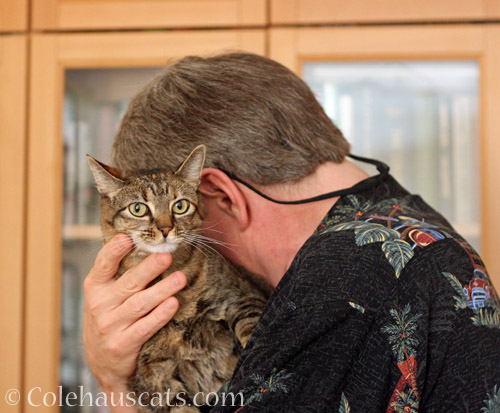 Viola and her Dad © Colehauscats.com