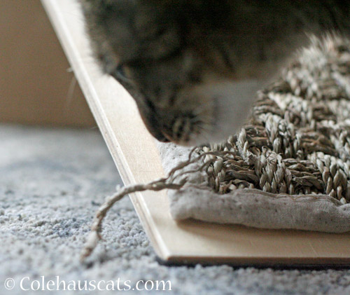 Sisal scratcher bits © Colehauscats.com