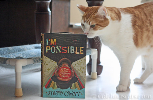 Quint liked "I'm Possible" © Colehauscats.com