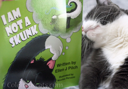 Tessa approves of I am not a skunk © Colehauscats.com