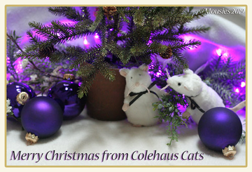 Toy Mousies share Christmas secrets © Colehauscats.com