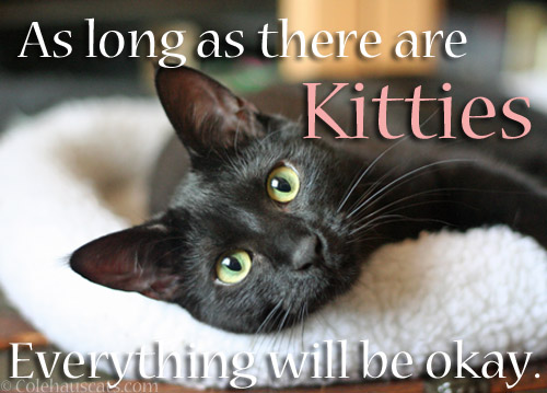 As long as there are kitties, everything will be okay © Colehauscats.com