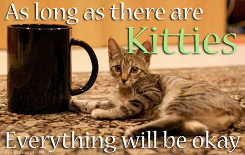 As long as there are kitties, everything will be okay © Colehauscats.com