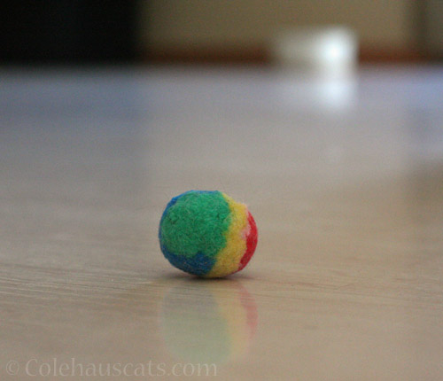 A favorite striped ball © Colehauscats.com