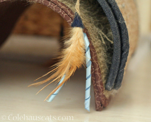 This dangling feather and blue ribbon on the Ess scratcher © Colehauscats.com