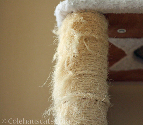The front left scratching post on a cat tower © Colehauscats.com