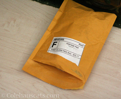 A package for Quint © Colehauscats.com