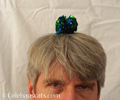 Dad with a blue crinkle hat © Colehauscats.com