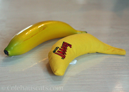 Christmas bananas © Colehauscats.com