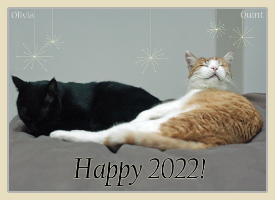 Happy 2022 from Olivia and Quint! © Colehauscats.com