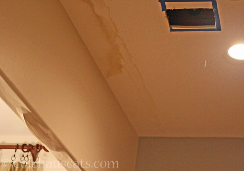 Ceiling Water Damage and Ruined Wall Paint © Colehauscats.com