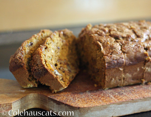 Pumpkin Loaf, 2022 © Colehauscats.com