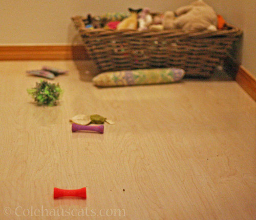 Some cat toys © Colehauscats.com