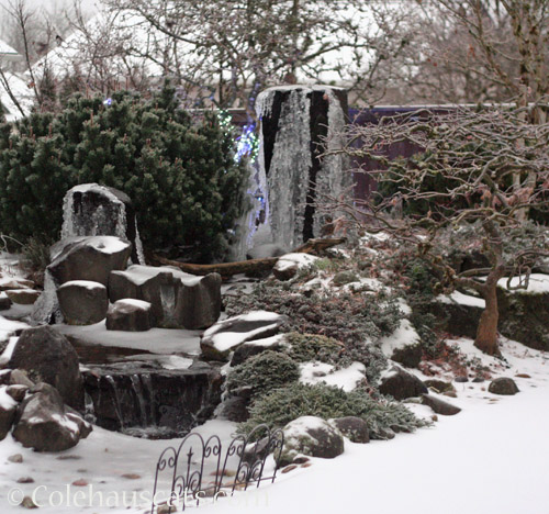 Ice Buildup on the fountain © Colehauscats.com