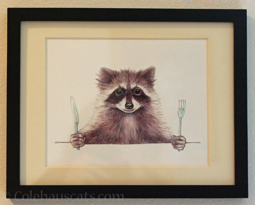 Hungry raccoon print, February 2023 © Colehauscats.com
