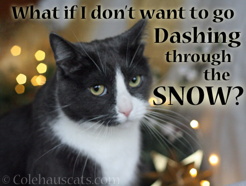 What if I don't want to go Dashing through the Snow?