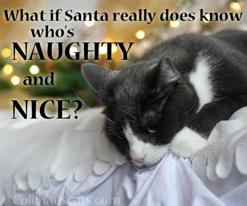 What if Santa really does know who's Naughty and Nice?