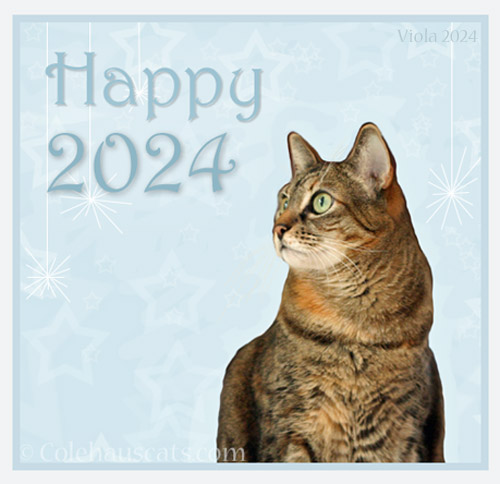 Happy 2024! © Colehauscats.com