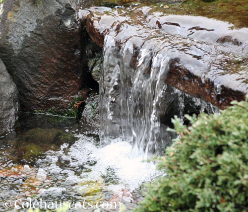 Lower falls in the fountain © Colehauscats.com