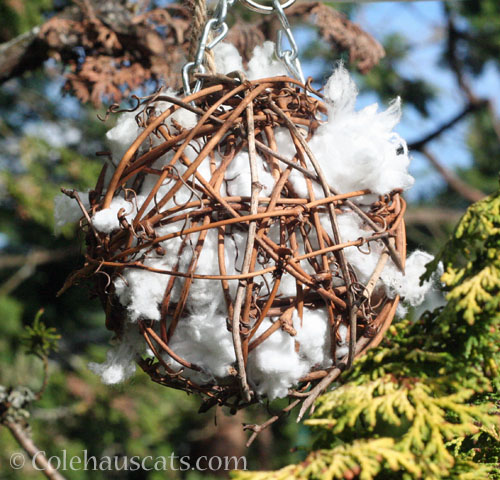 Ball of puff for nest builders © Colehauscats.com