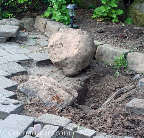Big rocks moved, no banana for scale © Colehauscats.com