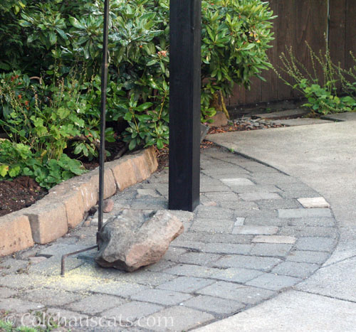 Bricks back in place, 2025 © Colehauscats.com