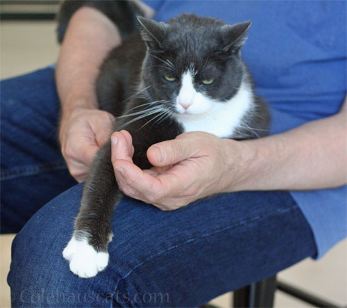 Tessa and Dad await a delivery, September 2025 © Colehauscats.com