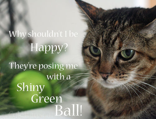 Who would be unhappy with a shiny green ball? 2025 © Colehauscats.com