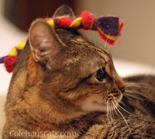 Viola's hat for Mom © Colehauscats.com