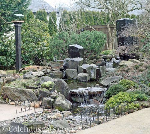 Colehaus fountain, end of March 2026 © Colehauscats.com