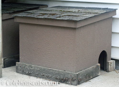 Feral shelters almost ready for fall 2026 © Colehauscats.com