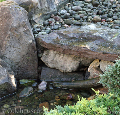 Dead Fountain, October 2026 © Colehauscats.com