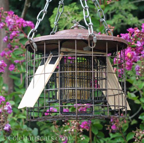 Mom's anti rodent suet cage fix © Colehauscats.com