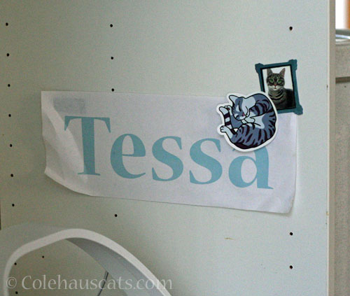 Tessa's stickers © Colehauscats.com