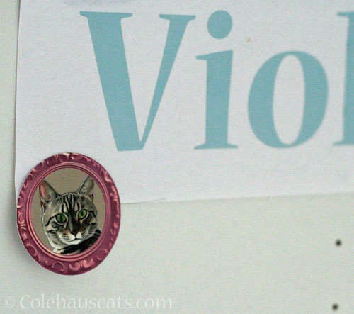 Viola's sticker © Colehauscats.com